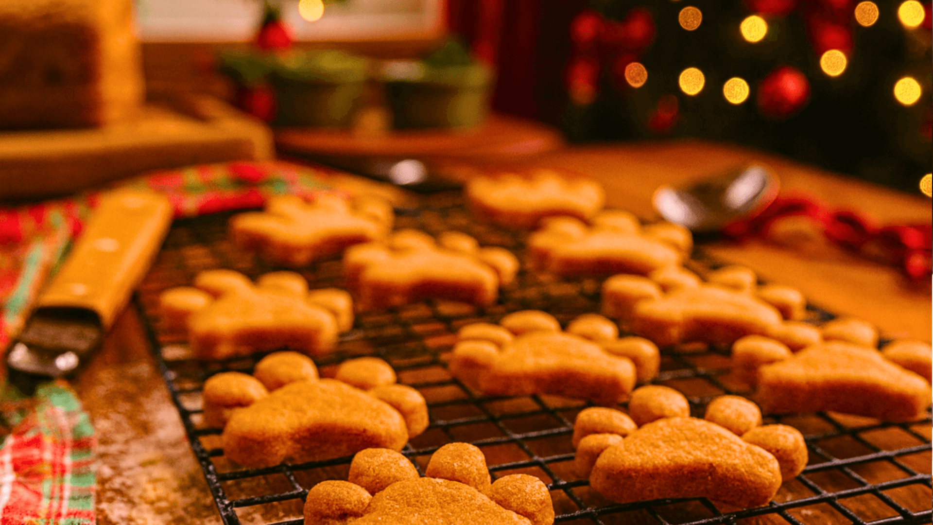 Dog Treats Homemade Christmas Peanut Butter