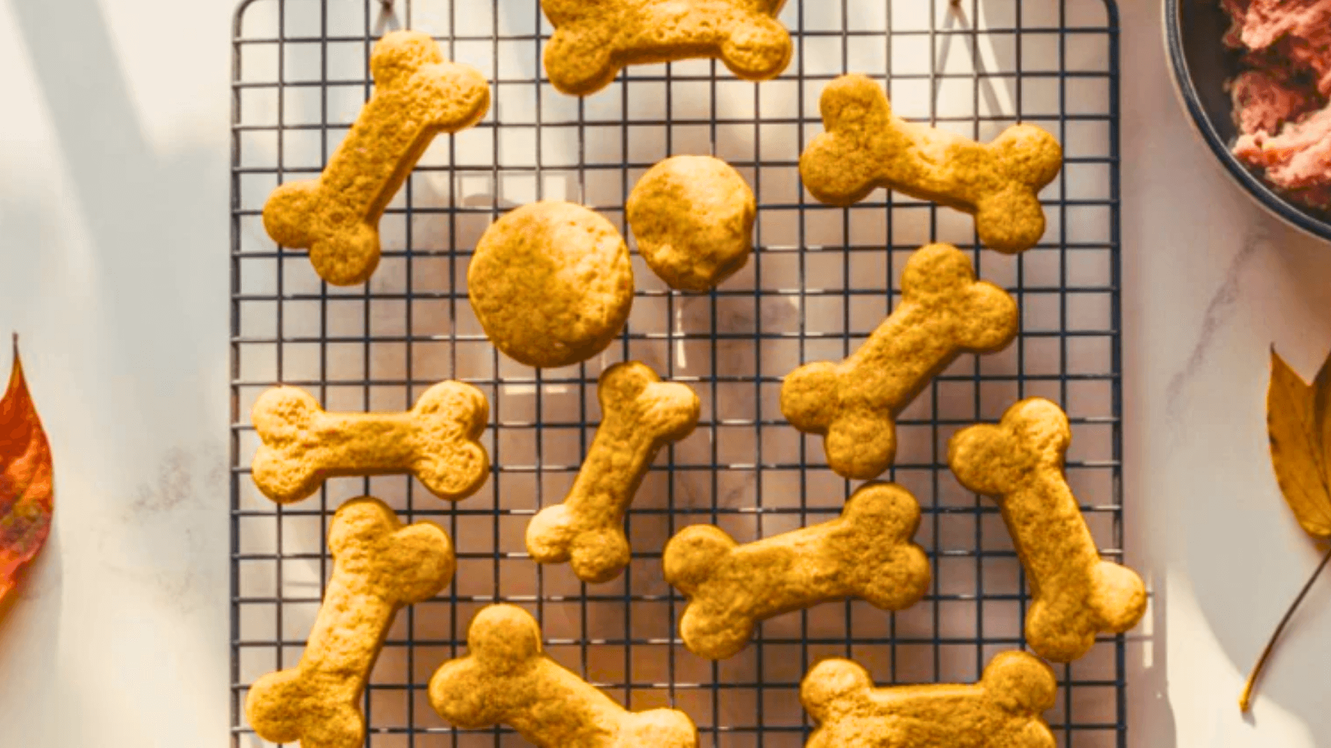 Ground Turkey Dog Treats Recipes