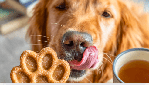 Peanut Butter Coconut Oil Dog Treats Rolled Oats