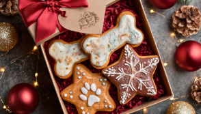 Christmas Dog Treats Decorated
