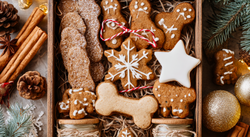 Dog Treats for Christmas Holidays