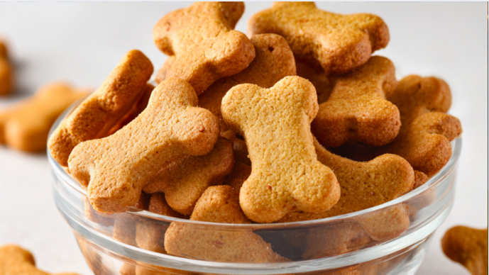 7 Simple Homemade Dog Biscuit Recipes to Try Today
