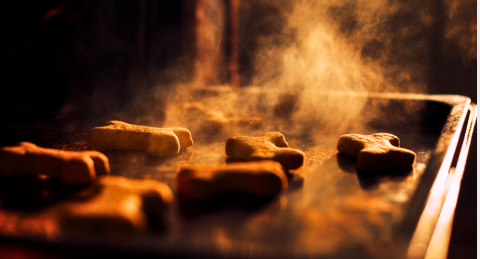 Dog Birthday Cake Recipe