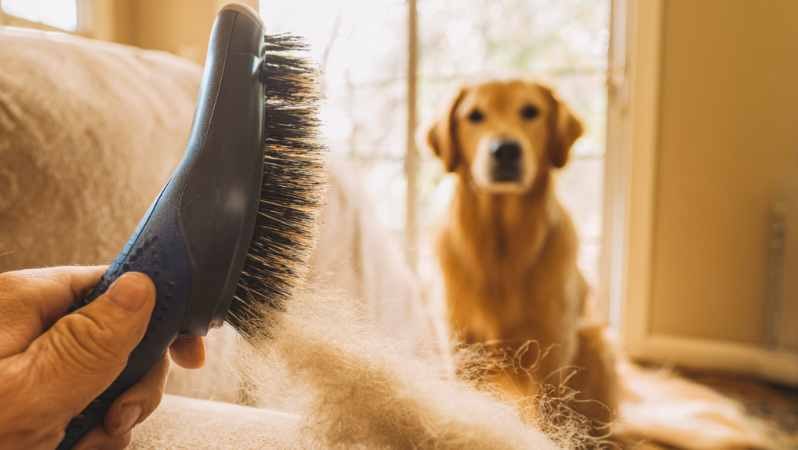 Pet Hair Removal Tool