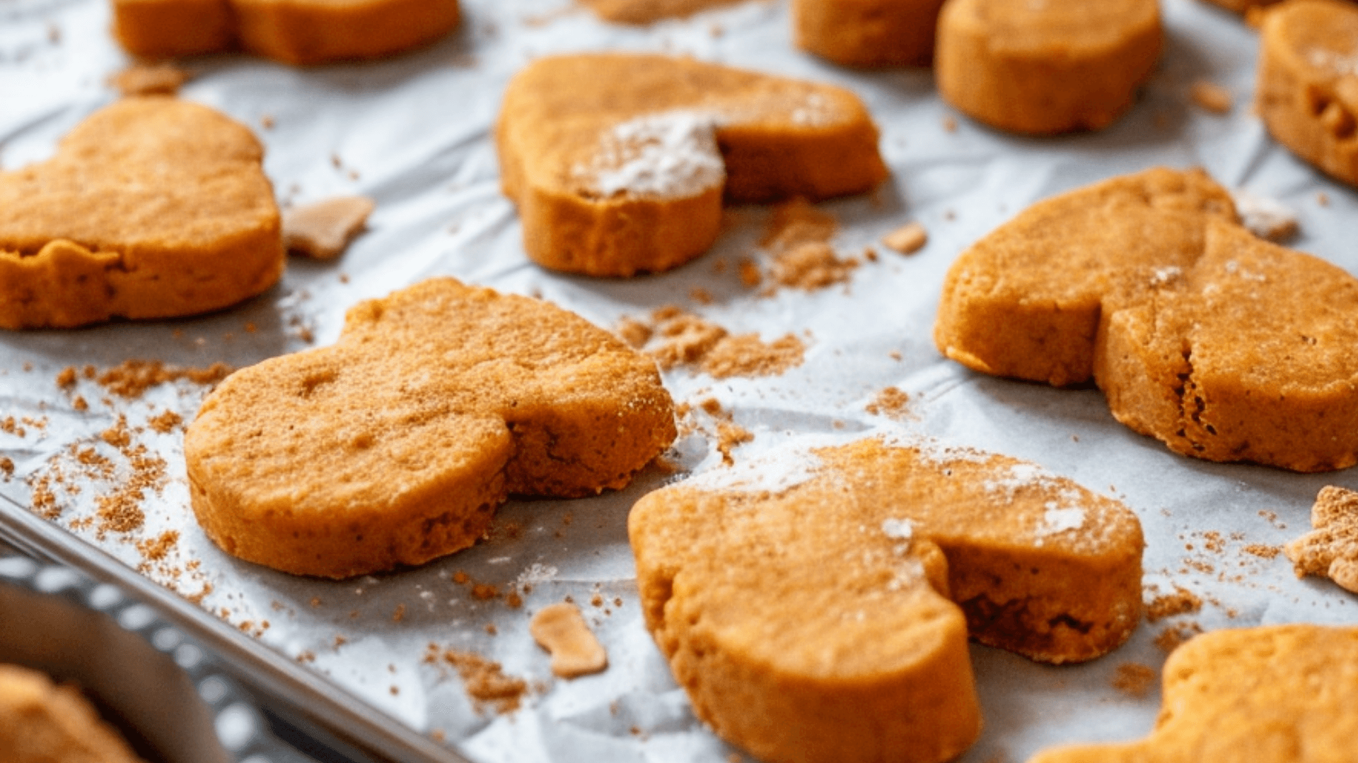Homemade Dog Treats with Pumpkin Puree and Yogurt neatly arranged on a baking tray, with creamy yogurt and pumpkin in the background, showcasing soft, healthy, and dog-friendly snacks.