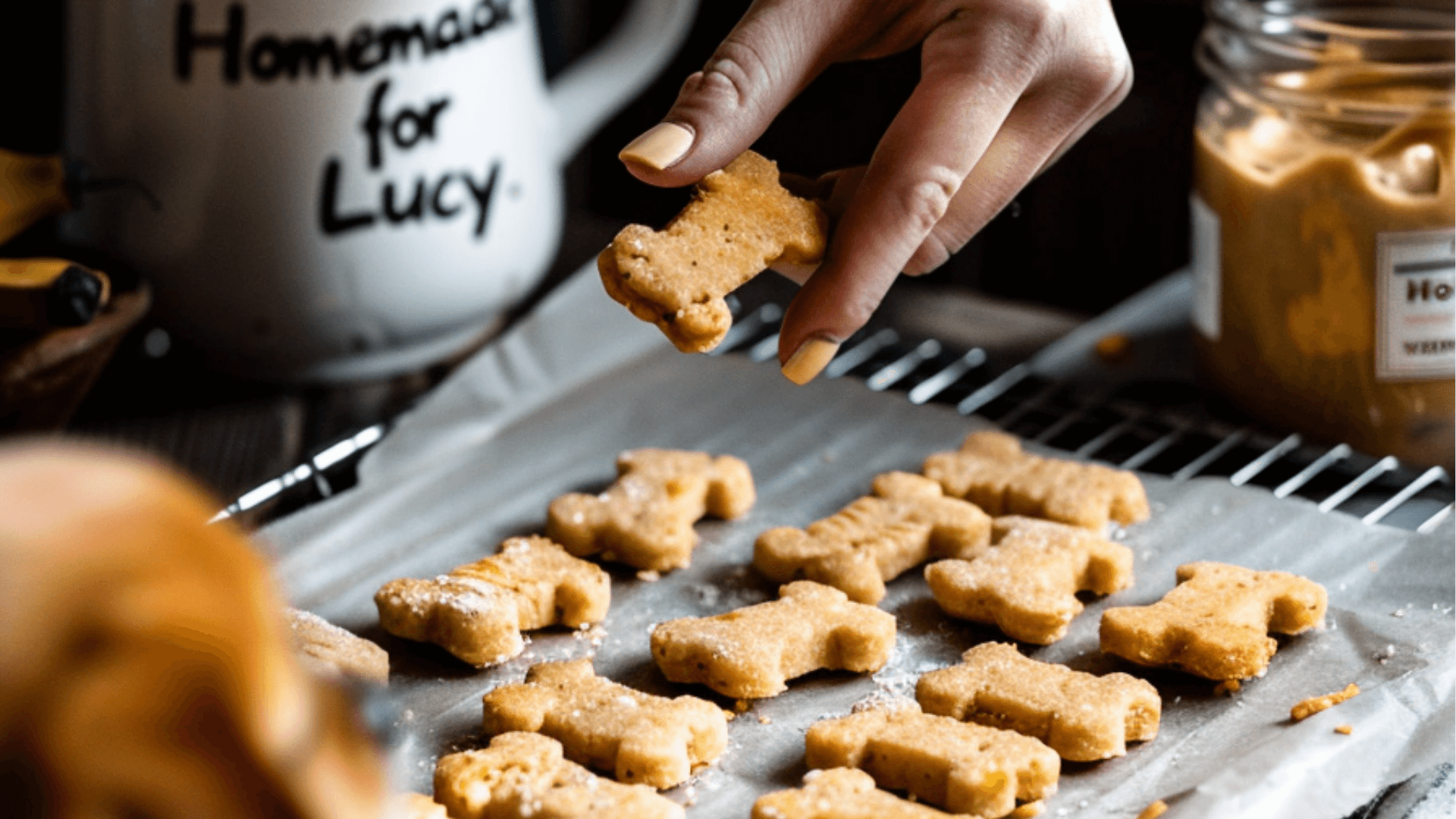 Dog Treats with Banana, Peanut Butter and Oats
