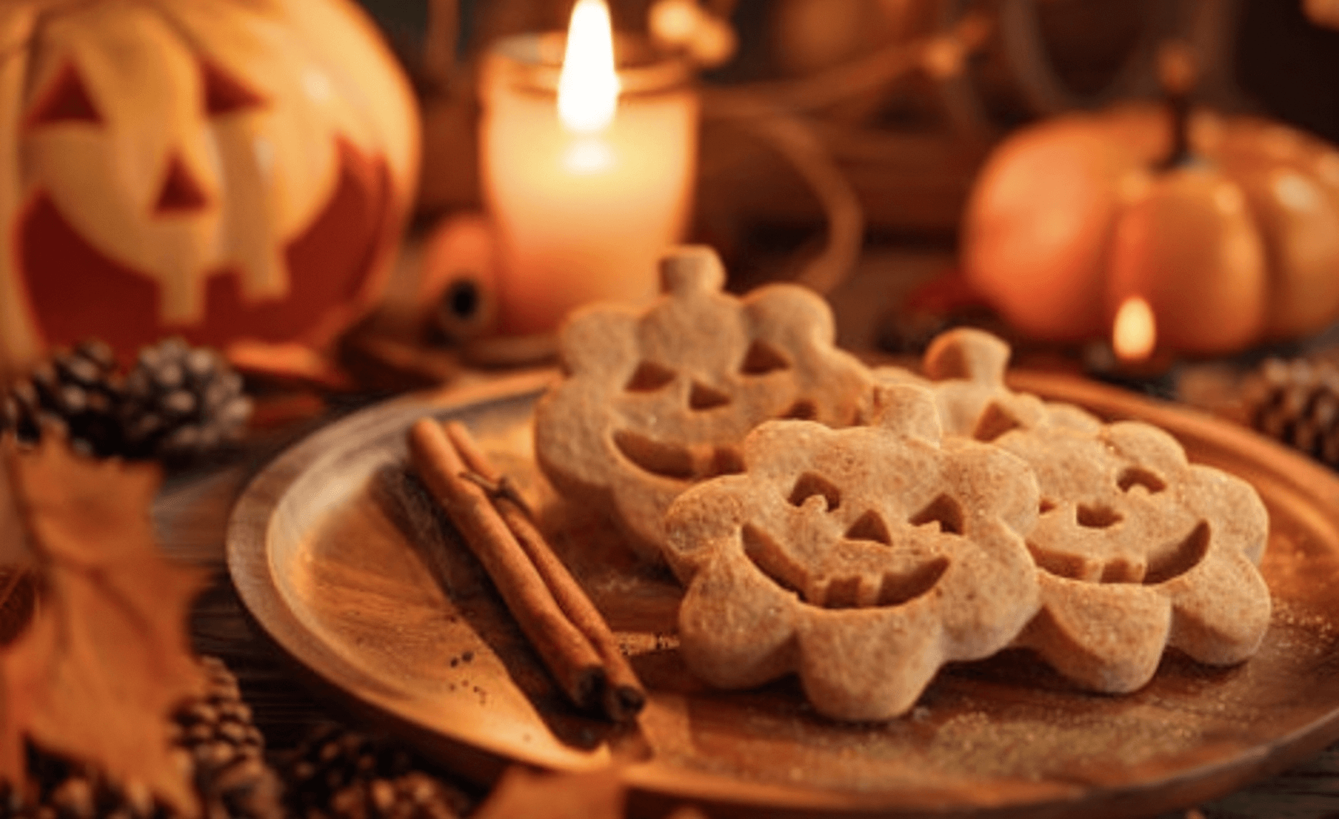 Pumpkin Apple Dog Treats Recipe