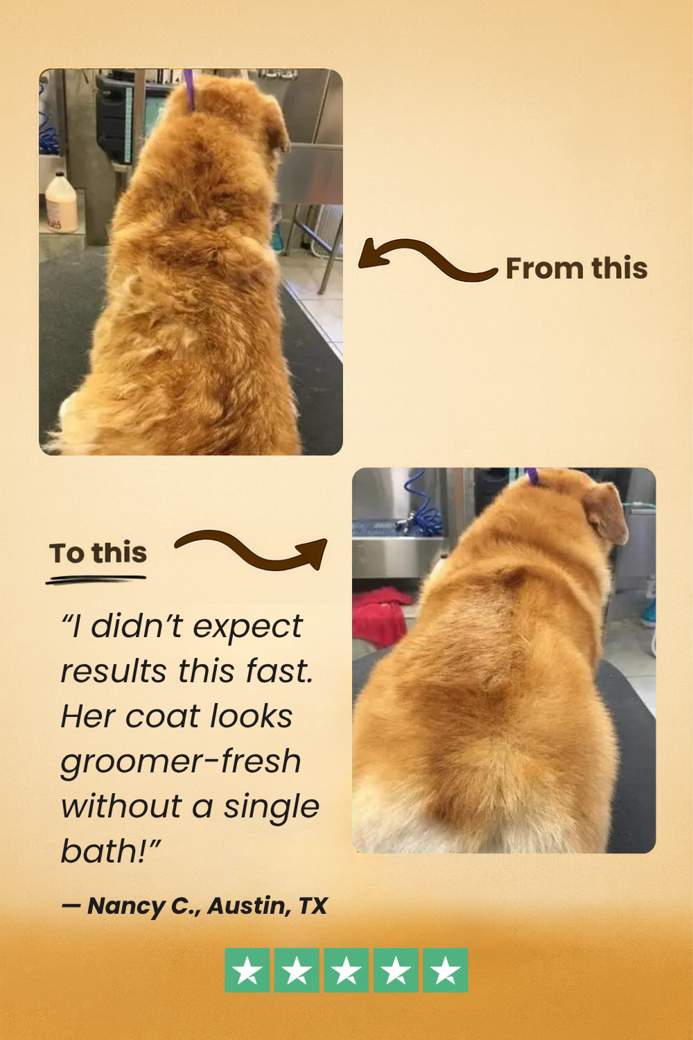 FreshFur™ Waterless Shampoo