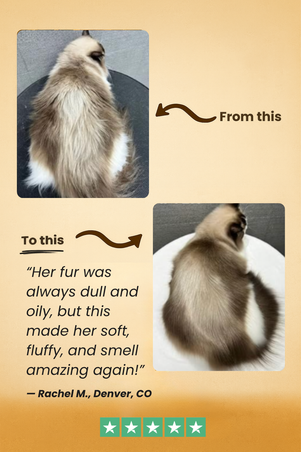 FreshFur™ Waterless Shampoo