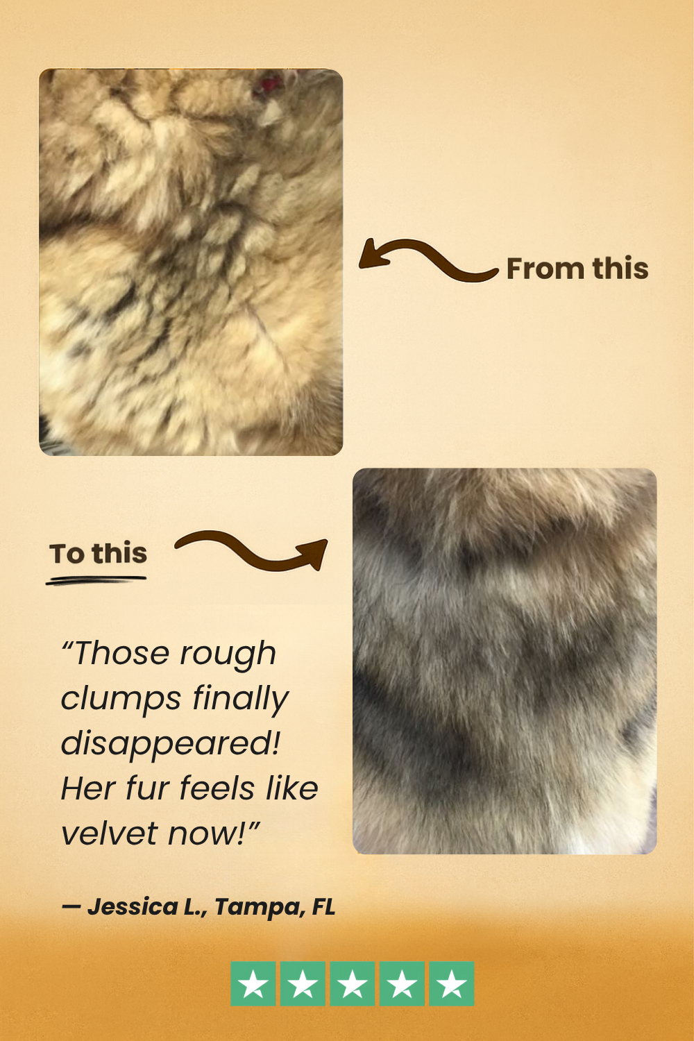 FreshFur™ Waterless Shampoo