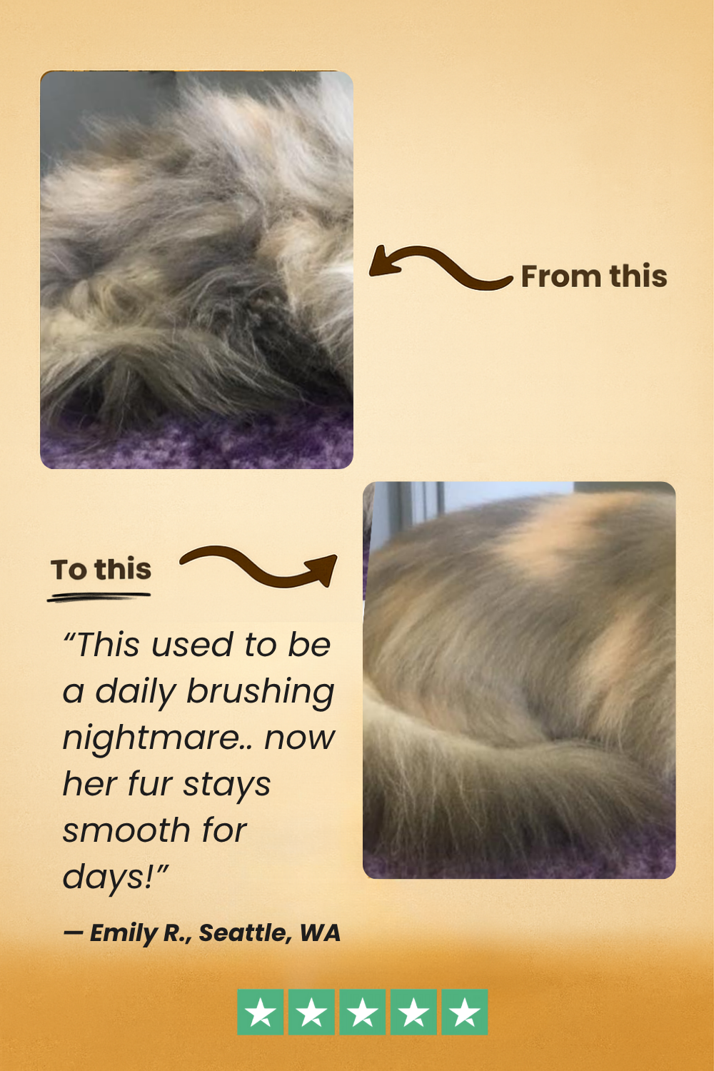 FreshFur™ Waterless Shampoo