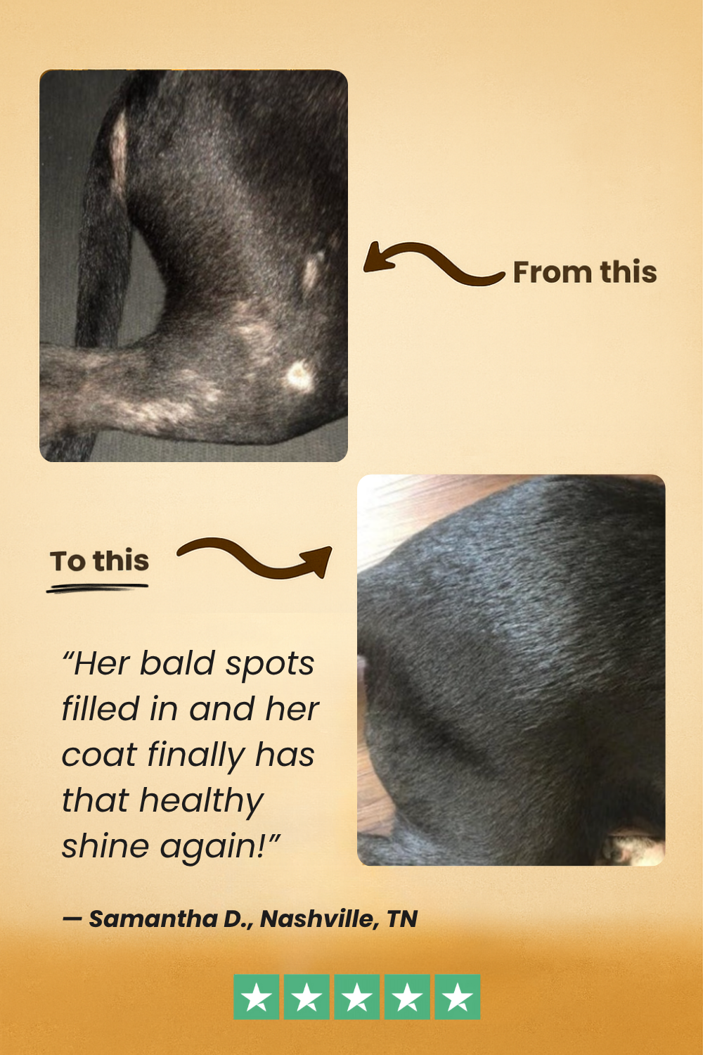 FreshFur™ Waterless Shampoo