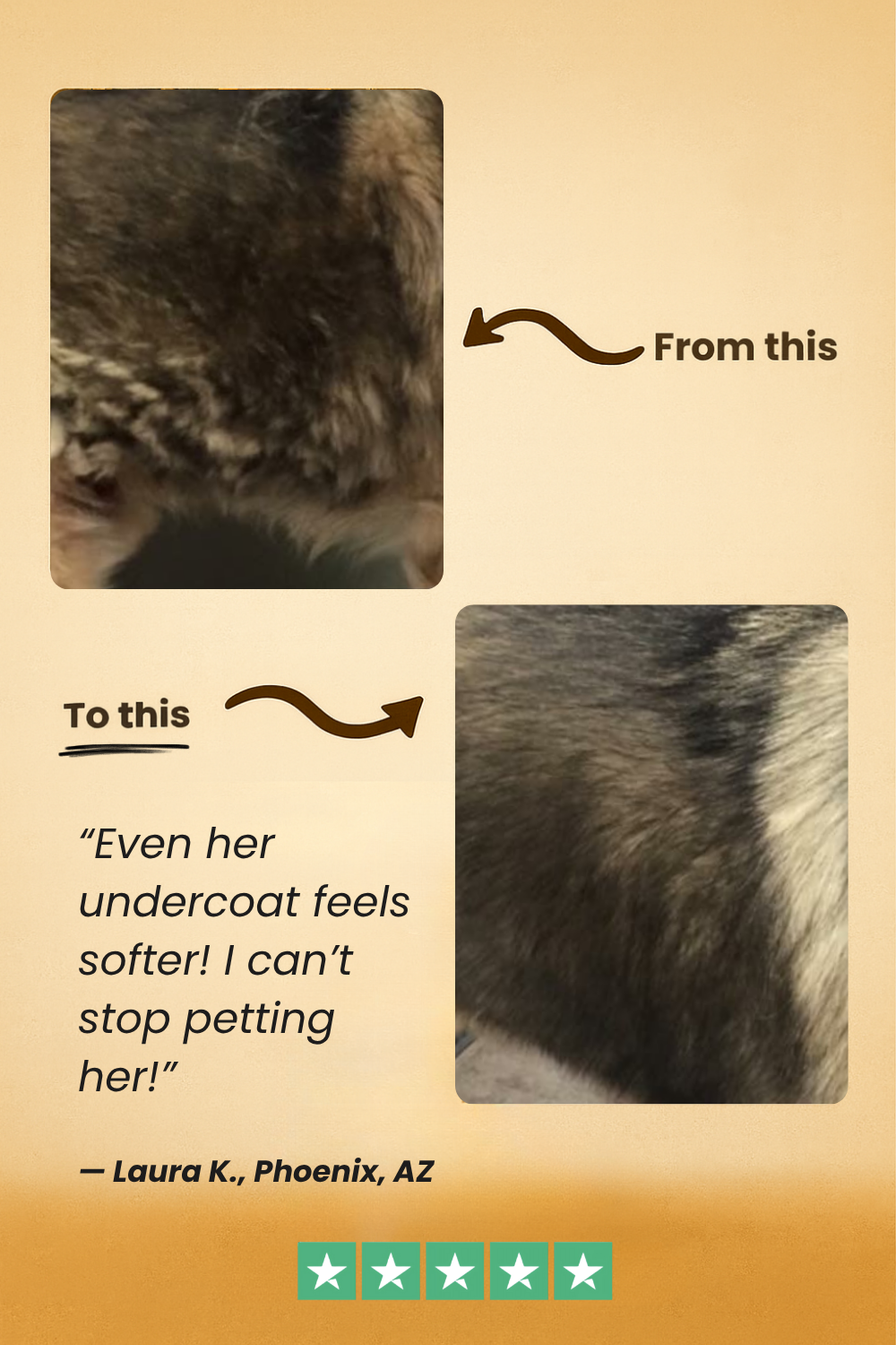 FreshFur™ Waterless Shampoo