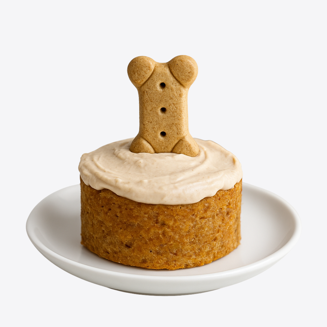 3-Ingredient Dog Cake Recipe