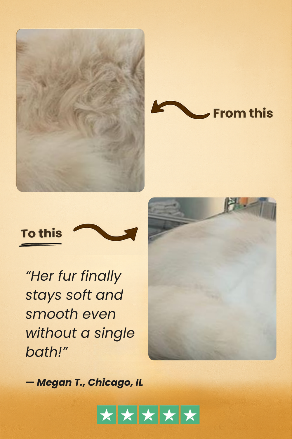 FreshFur™ Waterless Shampoo