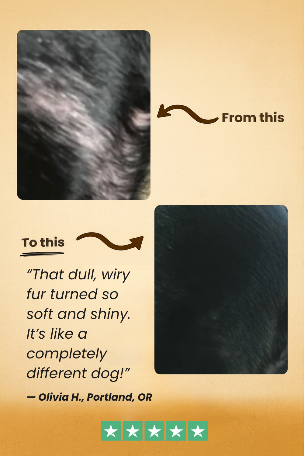 FreshFur™ Waterless Shampoo