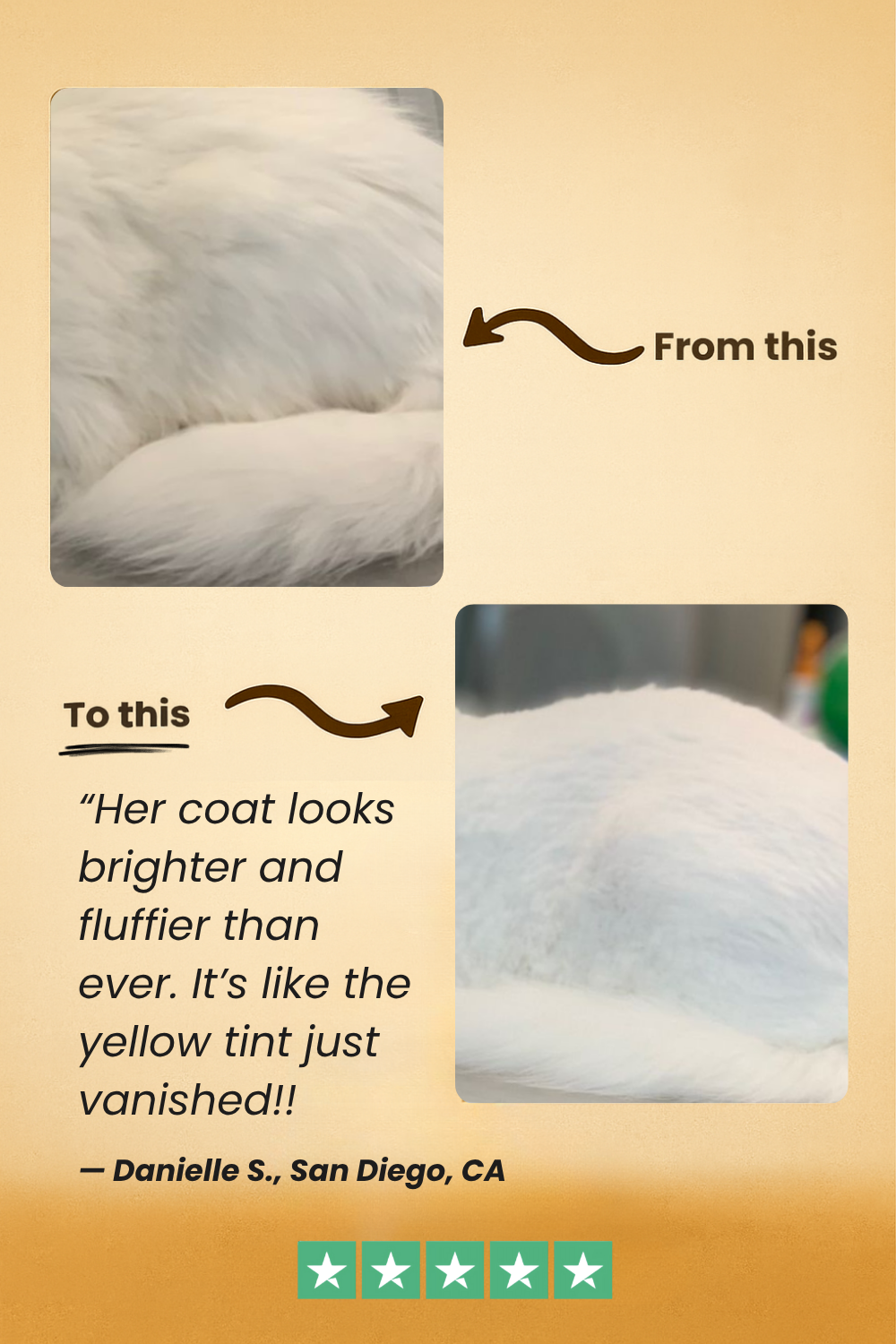 FreshFur™ Waterless Shampoo