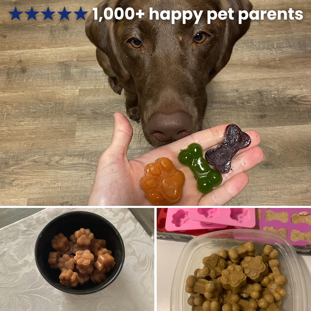 100+ Homemade Dog Treats Cookbook