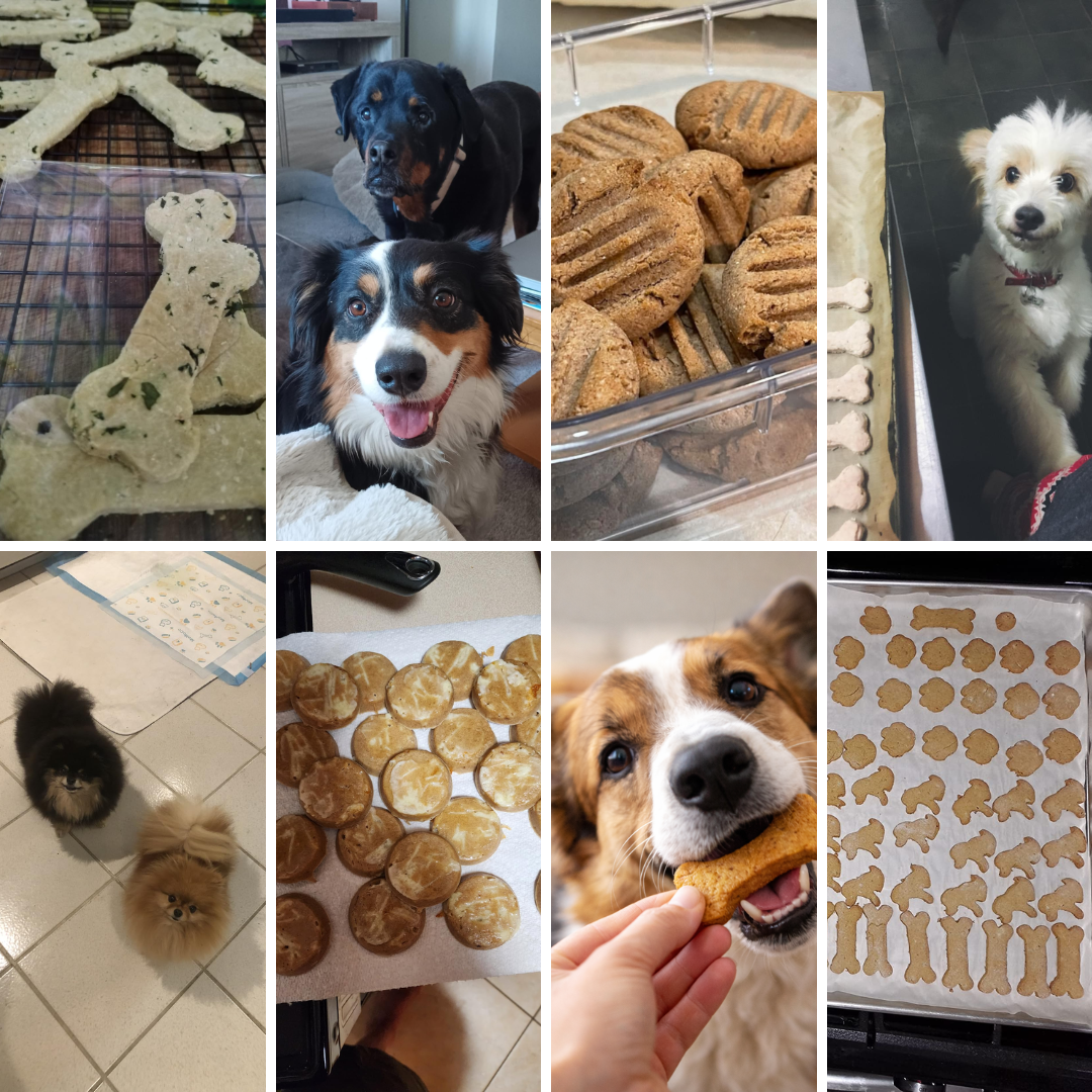 100+ Homemade Dog Treats Cookbook