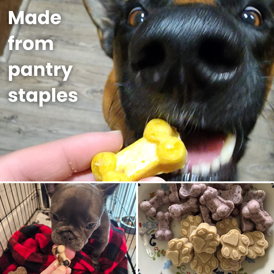 100+ Homemade Dog Treats Cookbook