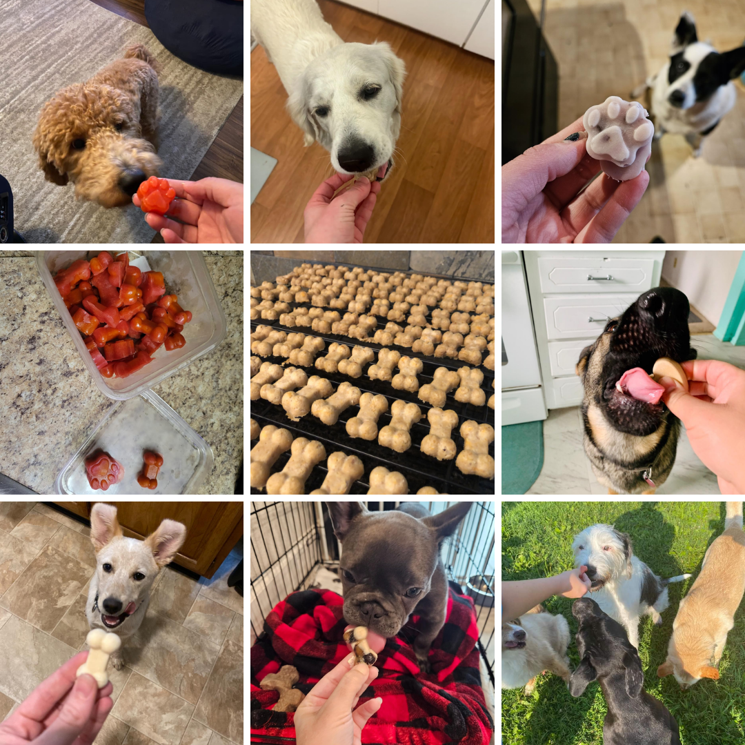 100+ Homemade Dog Treats Cookbook