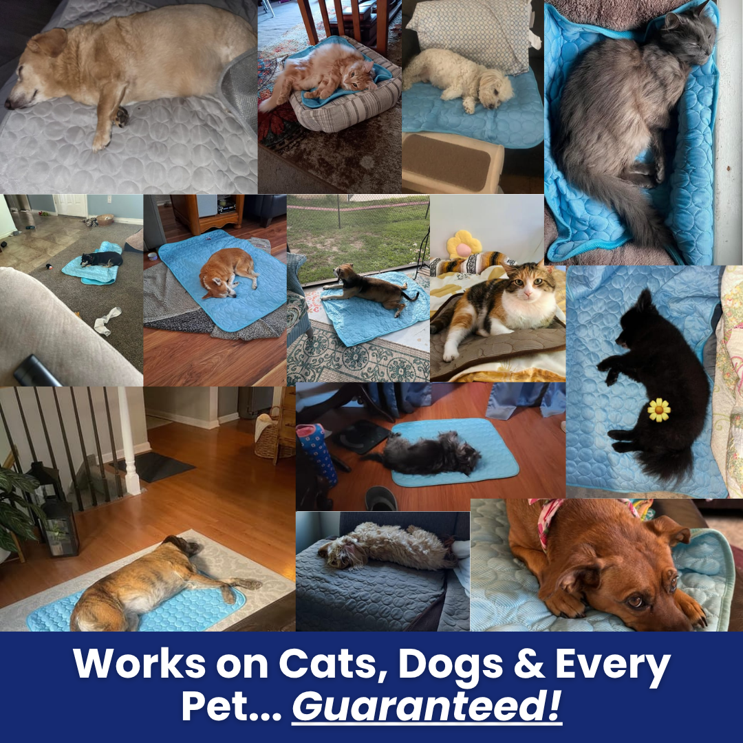 IceSilk™ Pet Cooling Mat