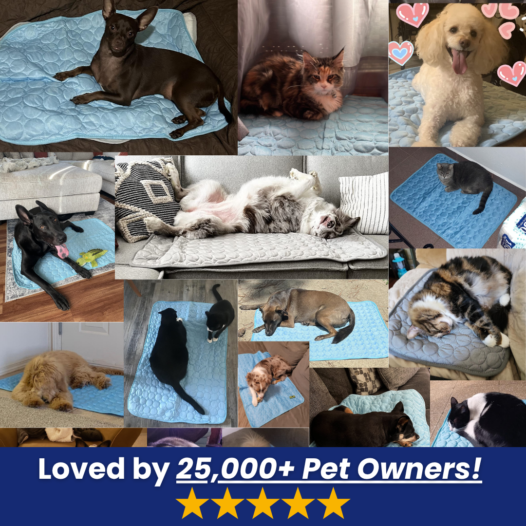 IceSilk™ Pet Cooling Mat