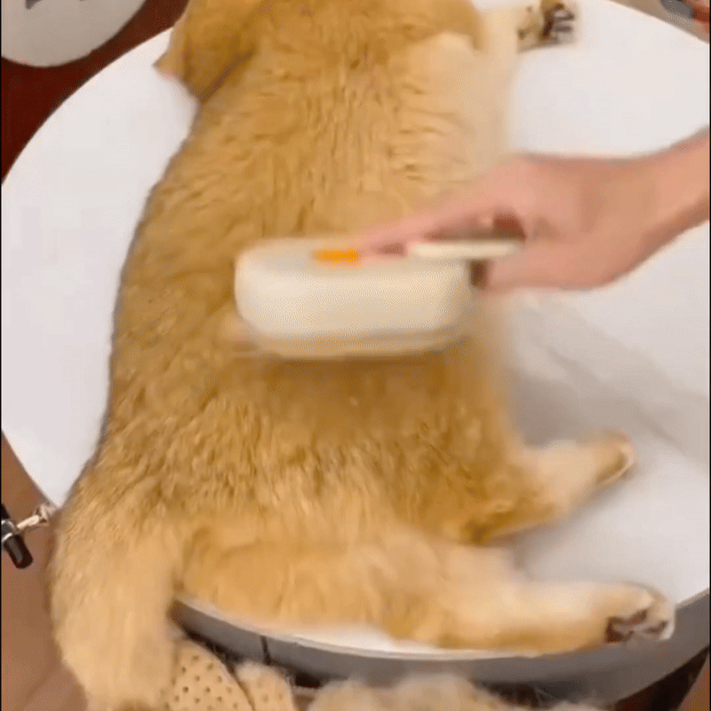 FreshFur™ Mist Groomer for Cats