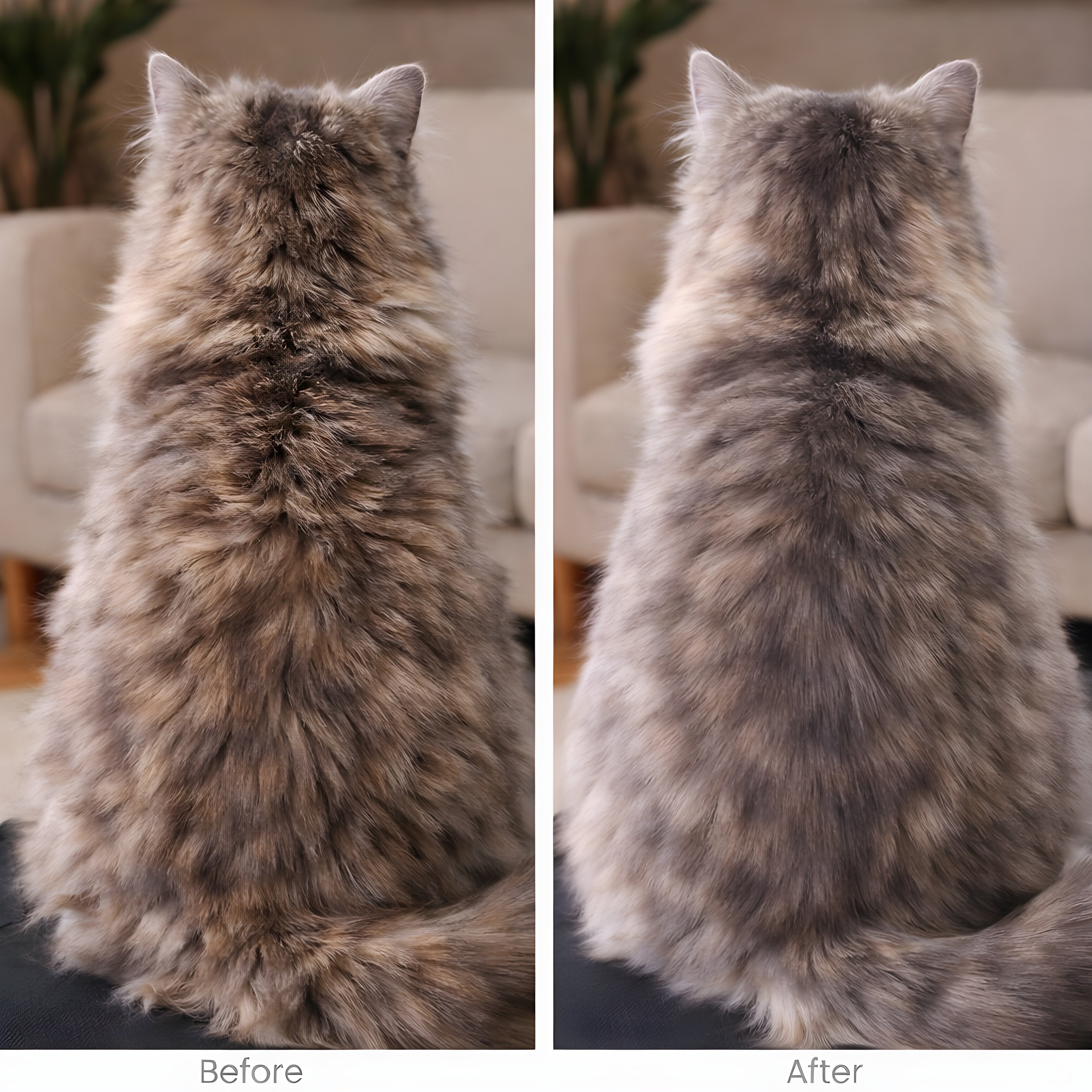 FreshFur™ Mist Brush for Cats