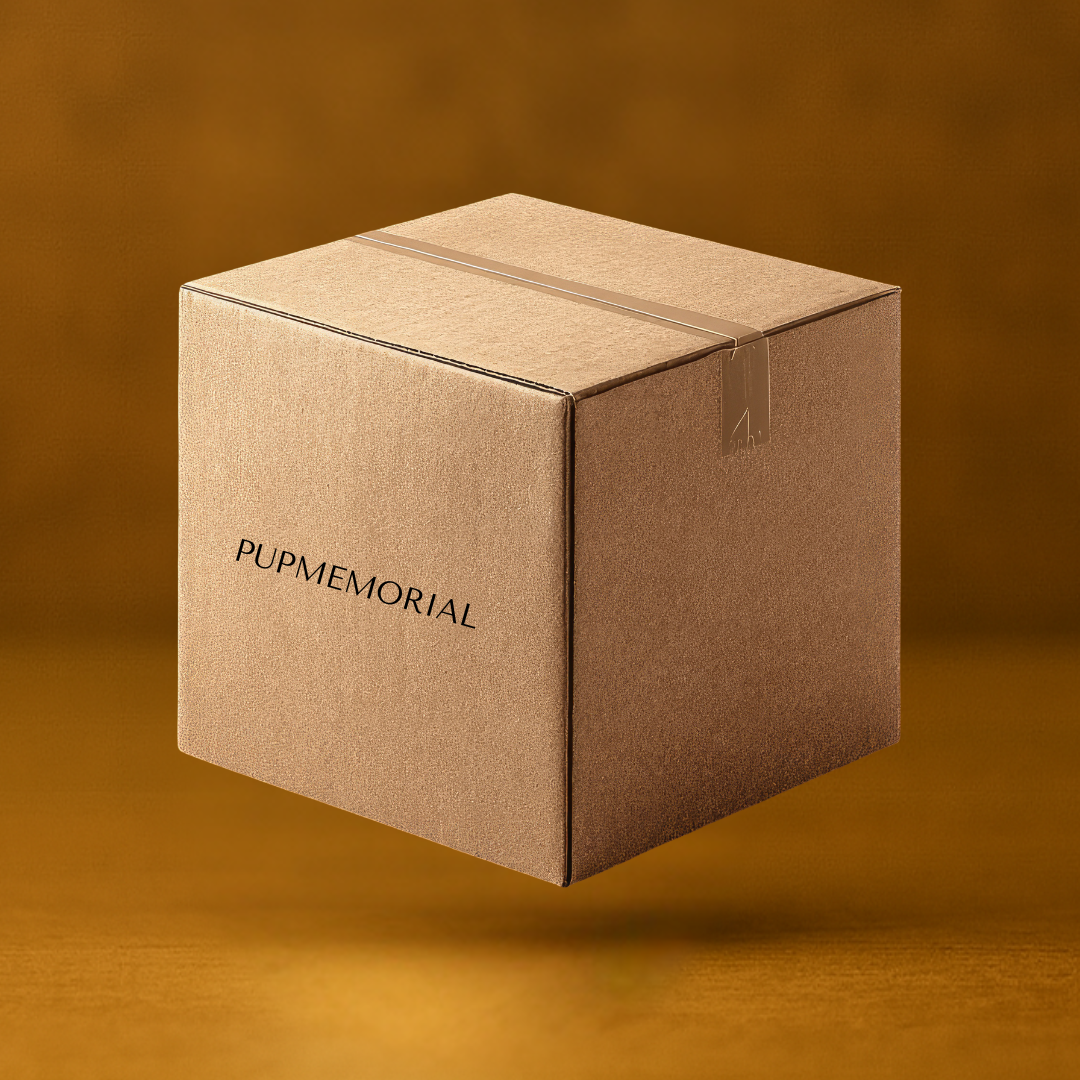 Free Shipping With Tracking