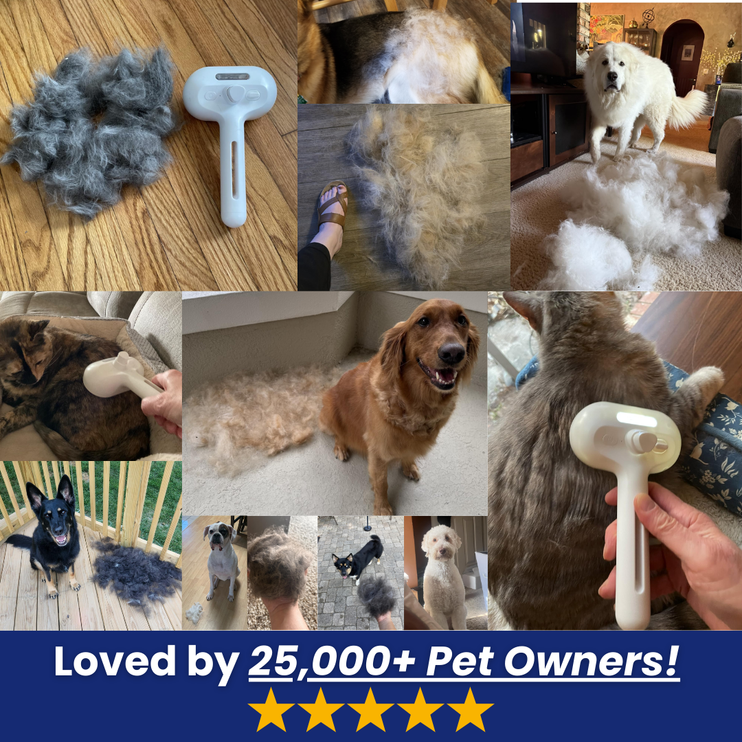 FreshFur™ Mist Brush
