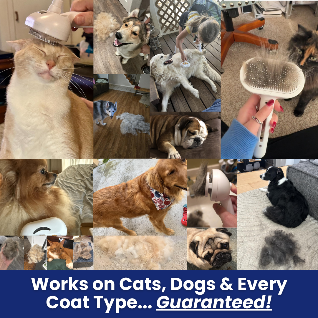 FreshFur™ Mist Brush