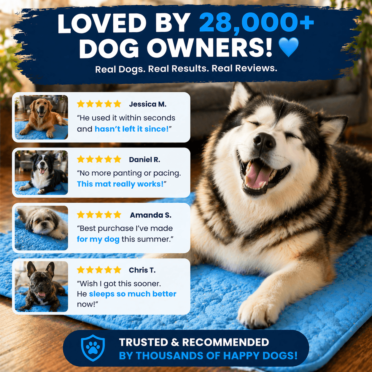 IceSilk™ Dog Cooling Mat