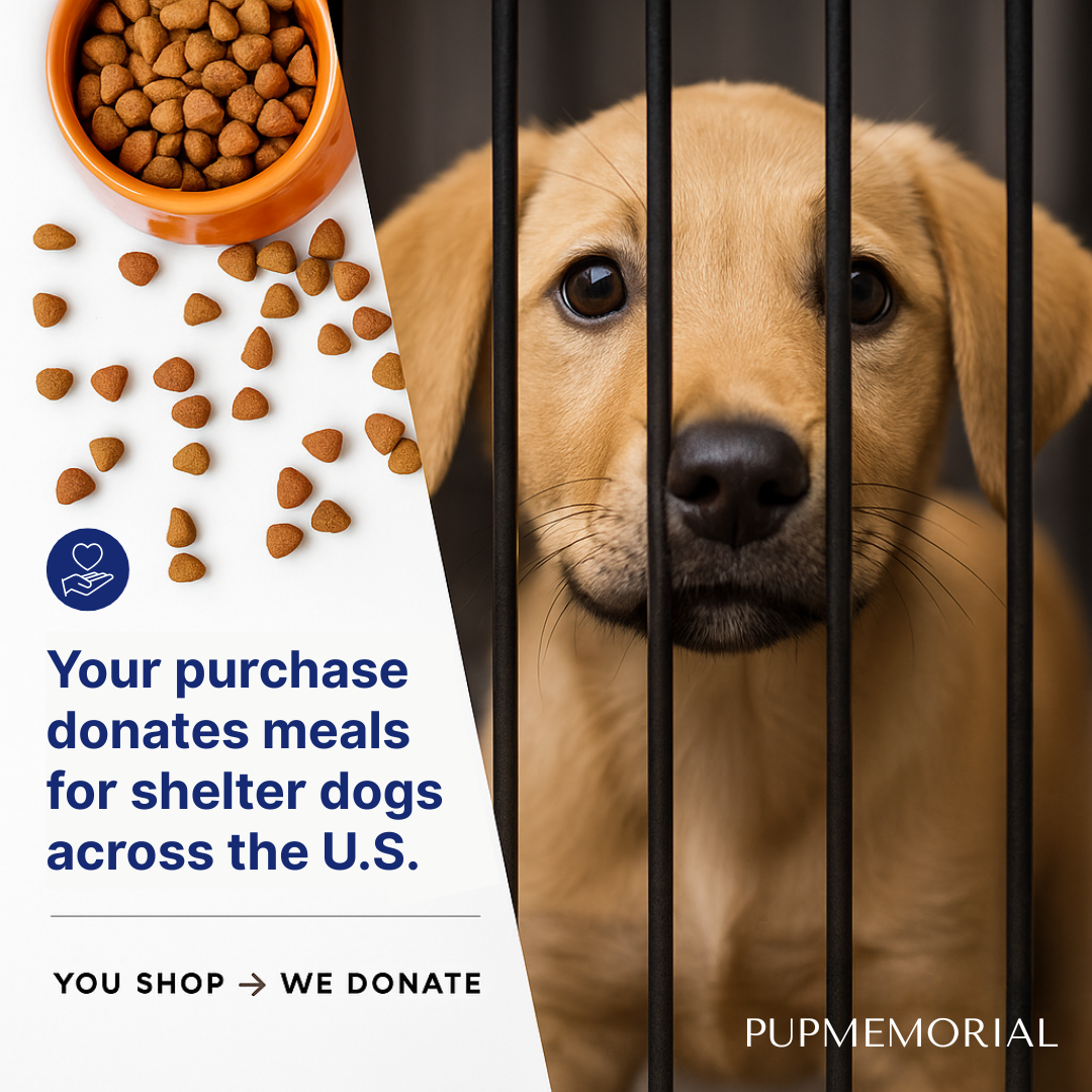 IceSilk™ Pet Cooling Mat