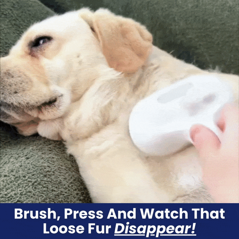 FreshFur™ Shower Brush