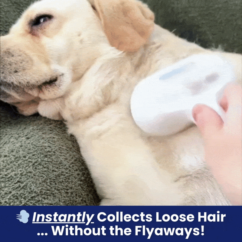 FreshFur™ Mist Brush