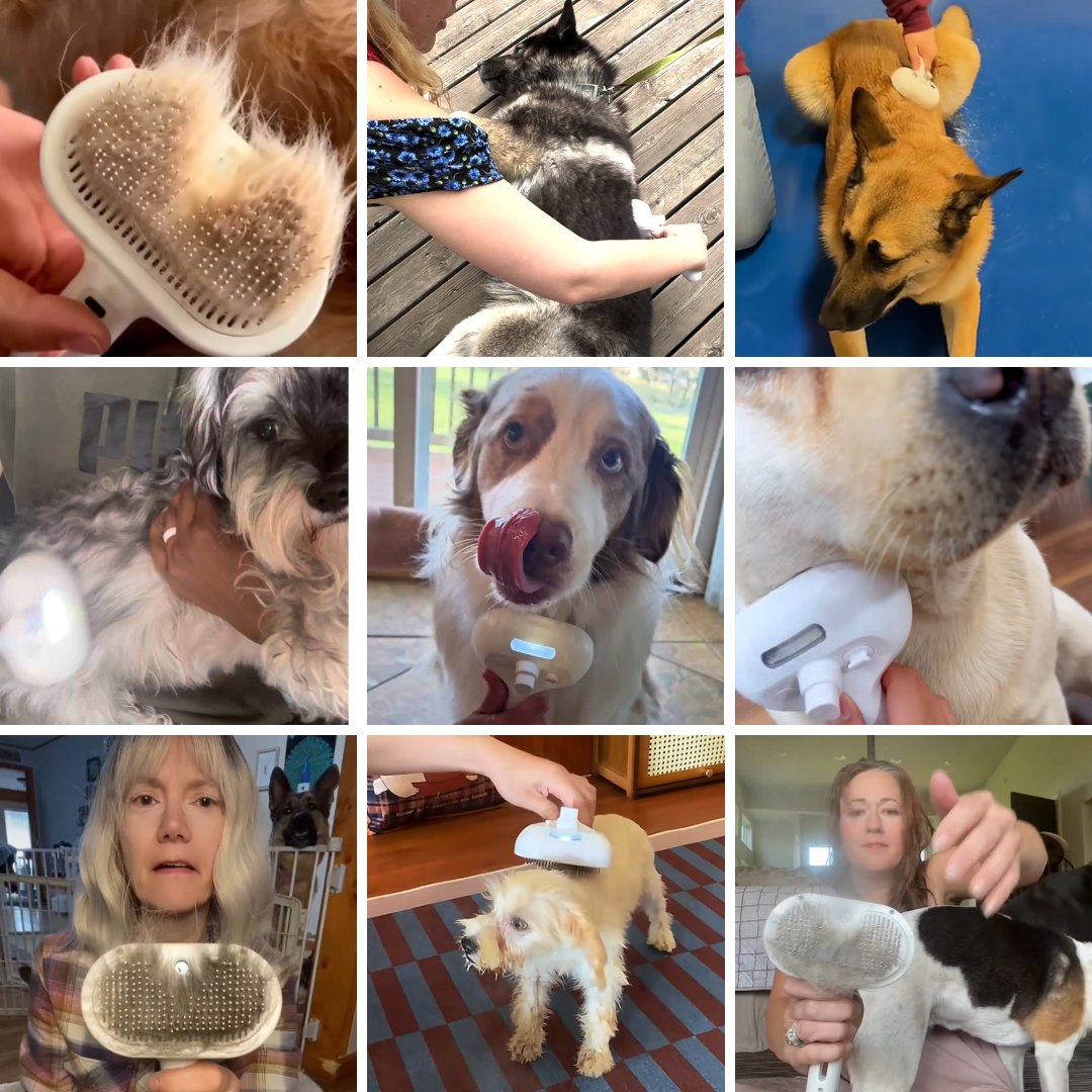 FreshFur™ Mist Brush