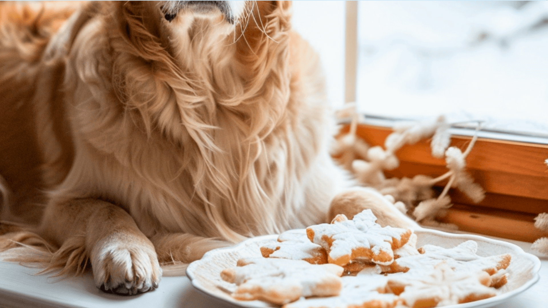 Snowflake Dog Treats