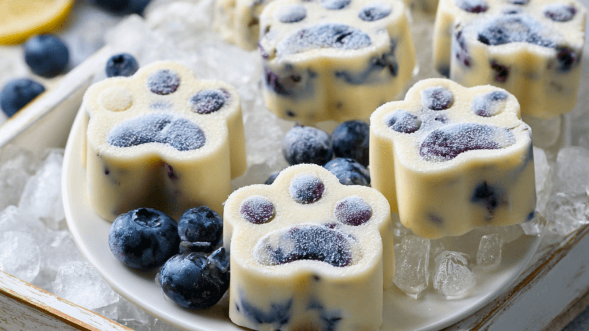Blueberry Banana Yogurt Frozen Dog Treats Recipe