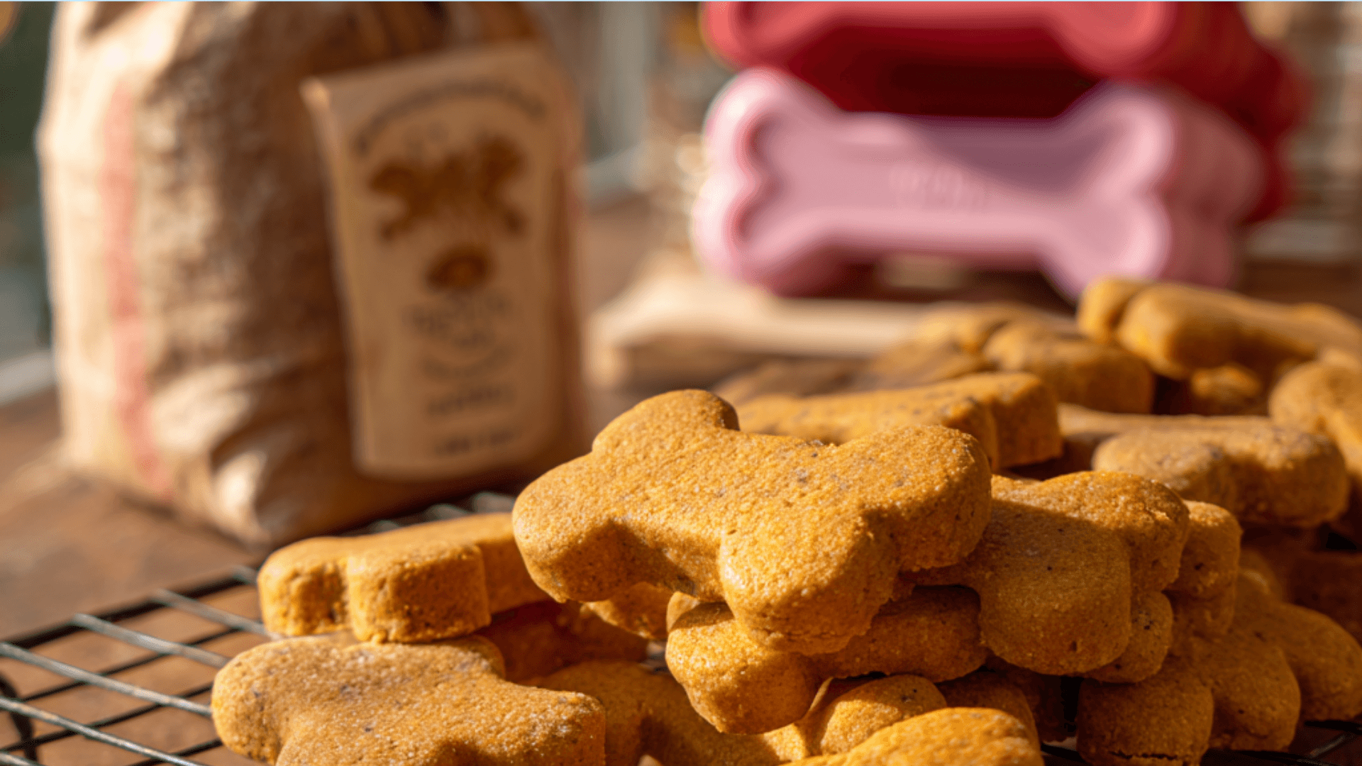Gluten Free Pumpkin Dog Treat Recipes