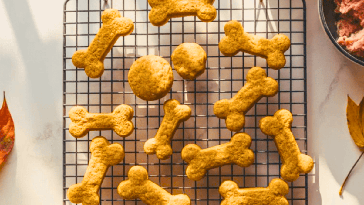 Ground Turkey Dog Treats Recipes