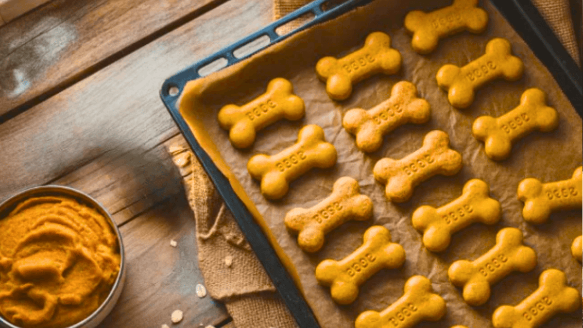 Dog Treats With Pumpkin Puree