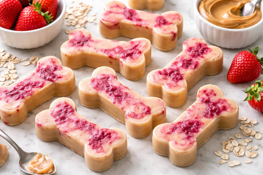 Frozen Peanut Butter And Jelly Dog Treats