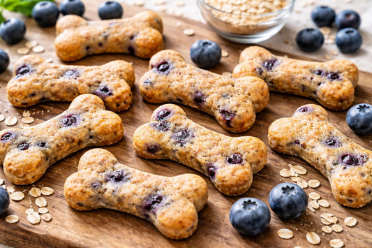 Fresh Blueberry Dog Treats