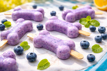 Blueberry Dog Popsicles