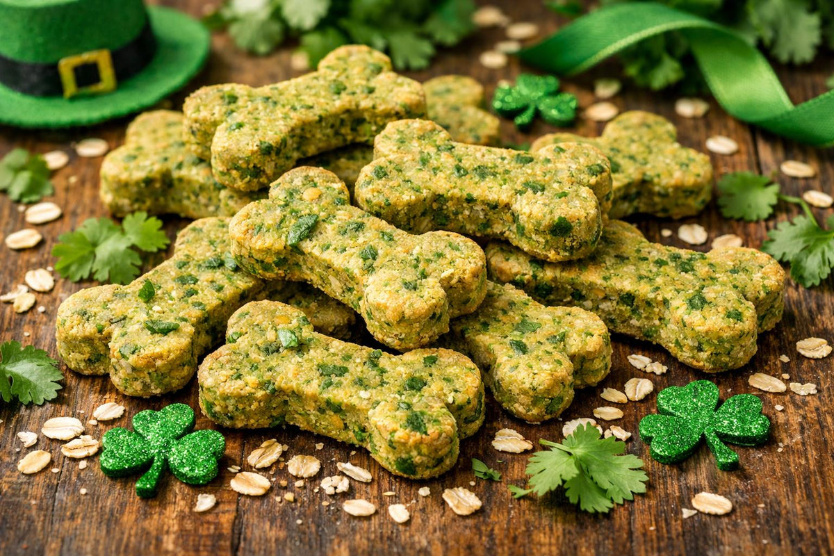 Cilantro Dog Treats