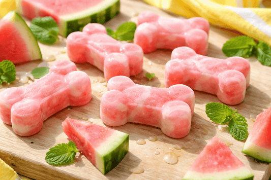Frozen Watermelon Dog Treat