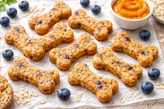 Blueberry Pumpkin Oatmeal Dog Treats