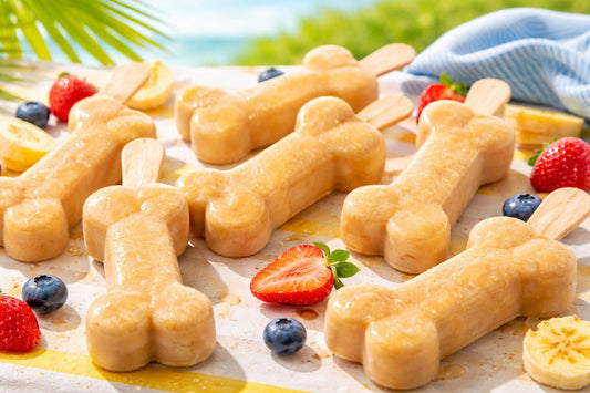 Dog Friendly Popsicles