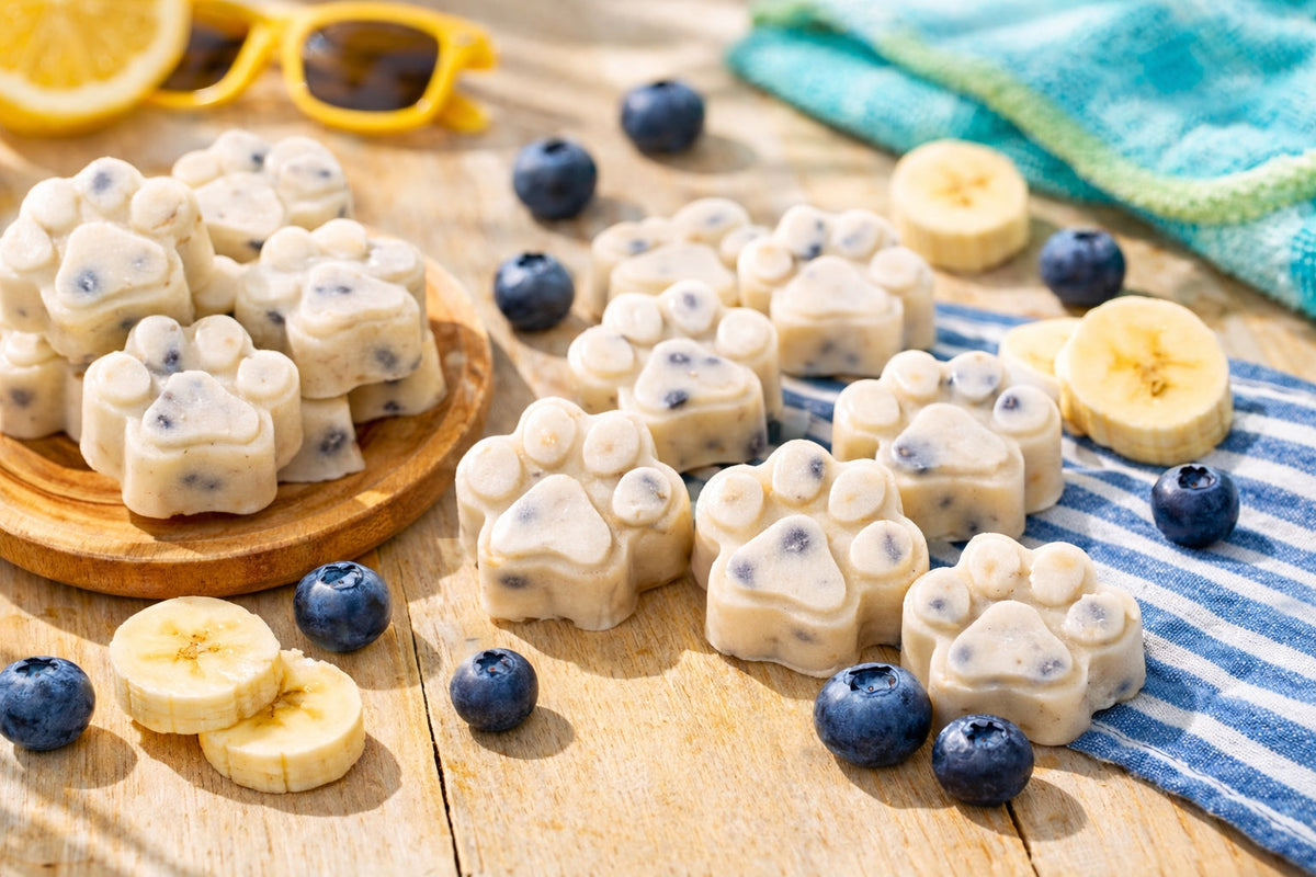 Homemade Frozen Dog Treat